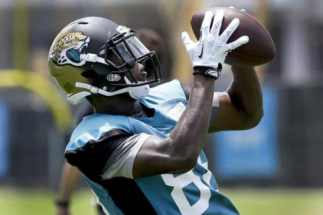 Jacksonville Jaguars receiver Allen Hurns